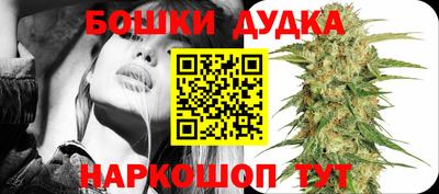 стафф Гусев