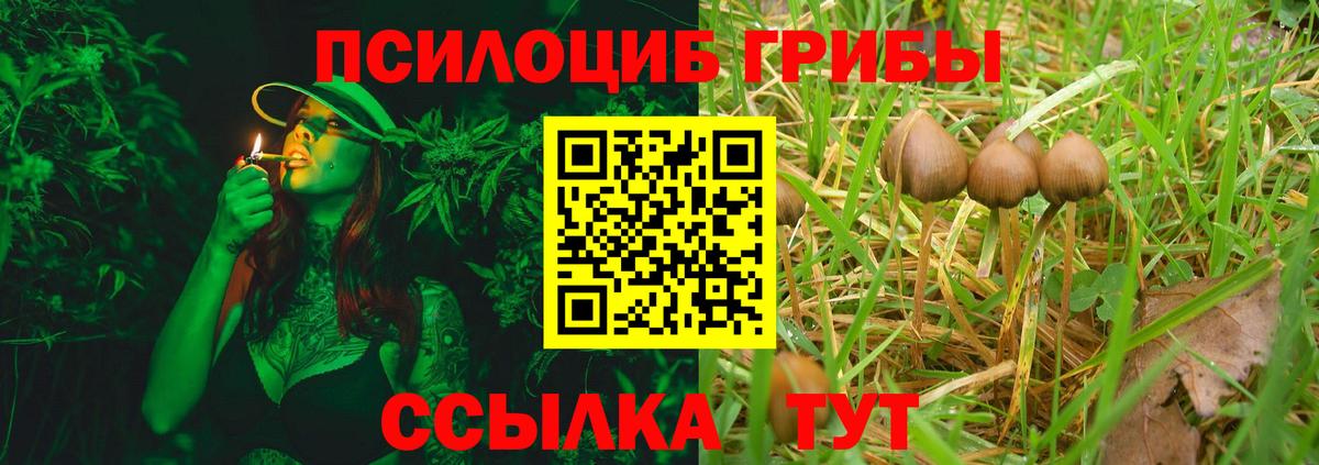 Ишимбай  закладки  Псилоцибиновые грибы прущие грибы  Вход с VPN  Псилоцибиновые грибы MAGIC MUSHROOMS 